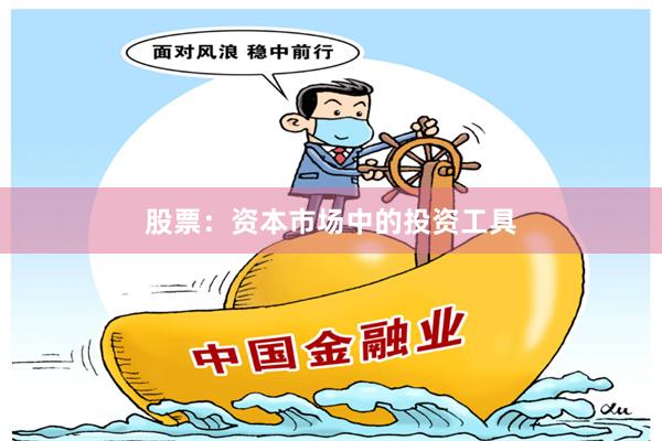 股票：资本市场中的投资工具