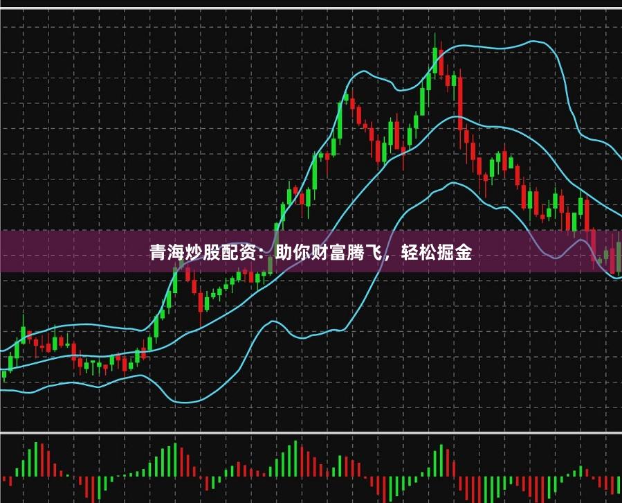 青海炒股配资：助你财富腾飞，轻松掘金